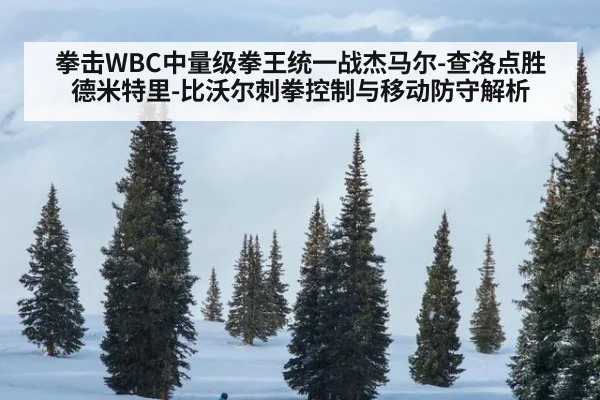 拳击WBC中量级拳王统一战杰马尔-查洛点胜德米特里-比沃尔刺拳控制与移动防守解析