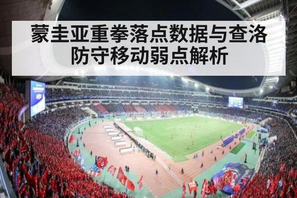 蒙圭亚重拳落点数据与查洛防守移动弱点解析