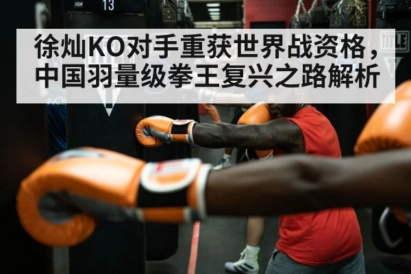 徐灿KO对手重获世界战资格，中国羽量级拳王复兴之路解析