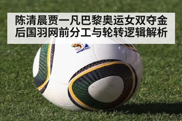 陈清晨贾一凡巴黎奥运女双夺金后国羽网前分工与轮转逻辑解析