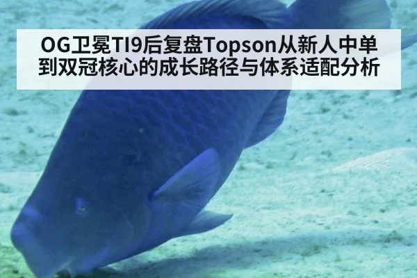 OG卫冕TI9后复盘Topson从新人中单到双冠核心的成长路径与体系适配分析